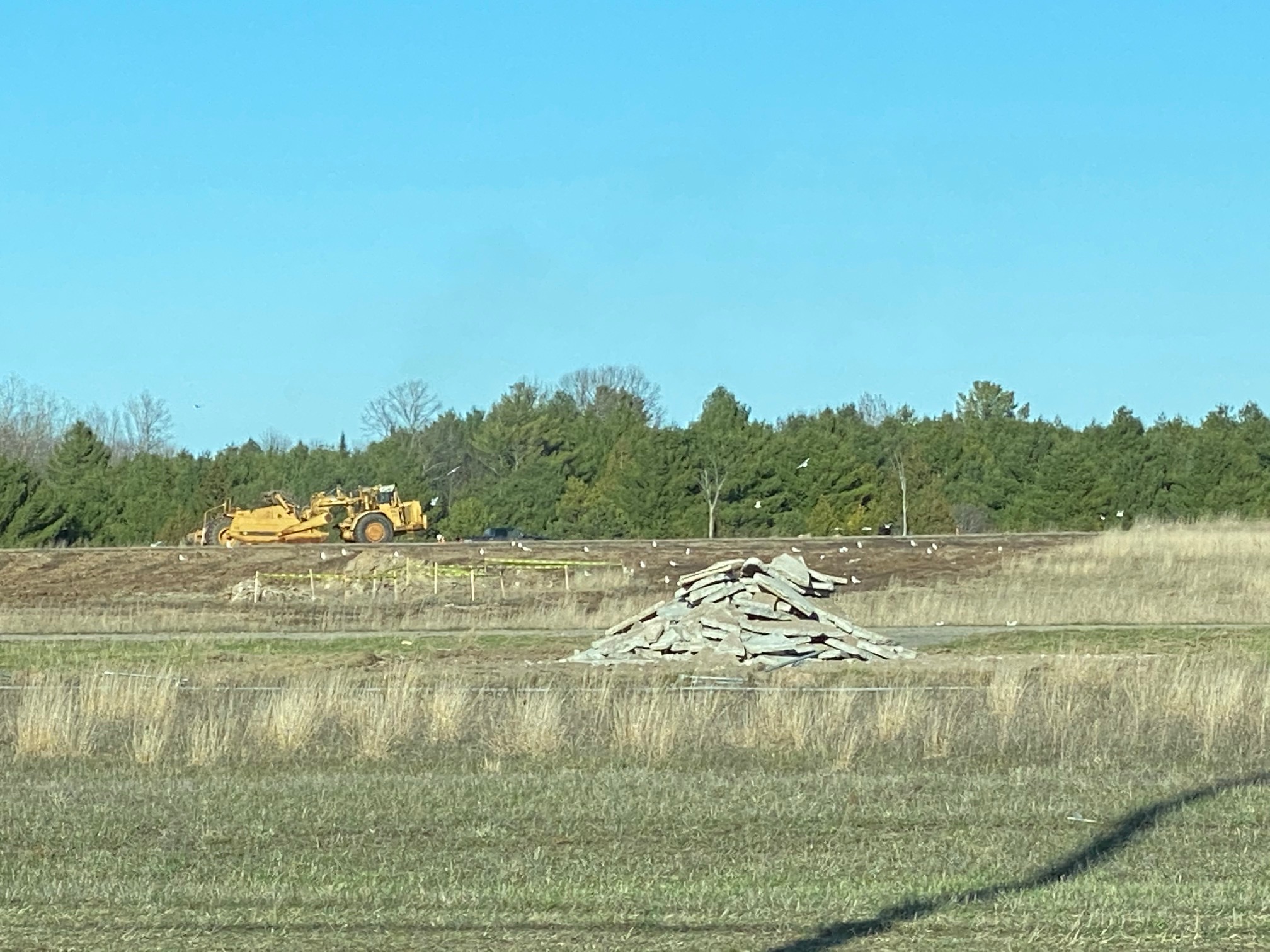 IMG_6070 Excavator preparing site for new building